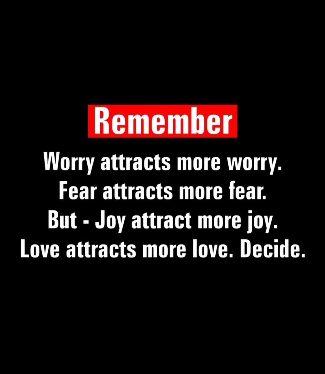 Seek Wiser (@seekwiser_) on Twitter photo 