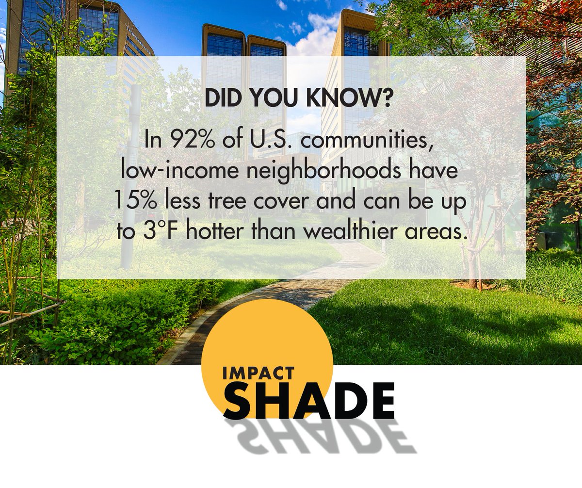 Shade saves lives 🌳 

Our #IMPACTShade program:

✅ Raises awareness
✅ Offers portable shade options
✅ Funds shade nationwide
✅ Advocates for policy change in cities &amp; parks

Learn more &amp; meet our partners in prevention: 

impactmelanoma.org/impact-shade/