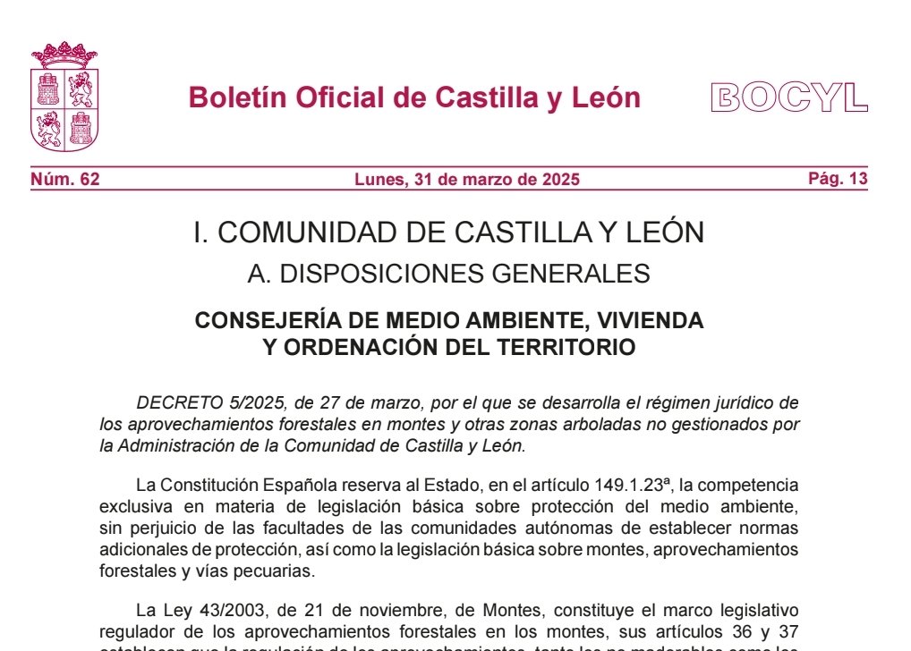 ¡¡No dejan limpiar el monte !!
Esto es ahora 👇
DECRETO 5/2025, de 27 de marzo, por el que se desarrolla el régimen jurídico de los aprovechamientos forestales en montes y otras zonas arboladas no gestionados por la Admon. <a href="/jcyl/">Junta de Castilla y León</a>
Hasta 2012 una comunicación para cortar uso propio.
