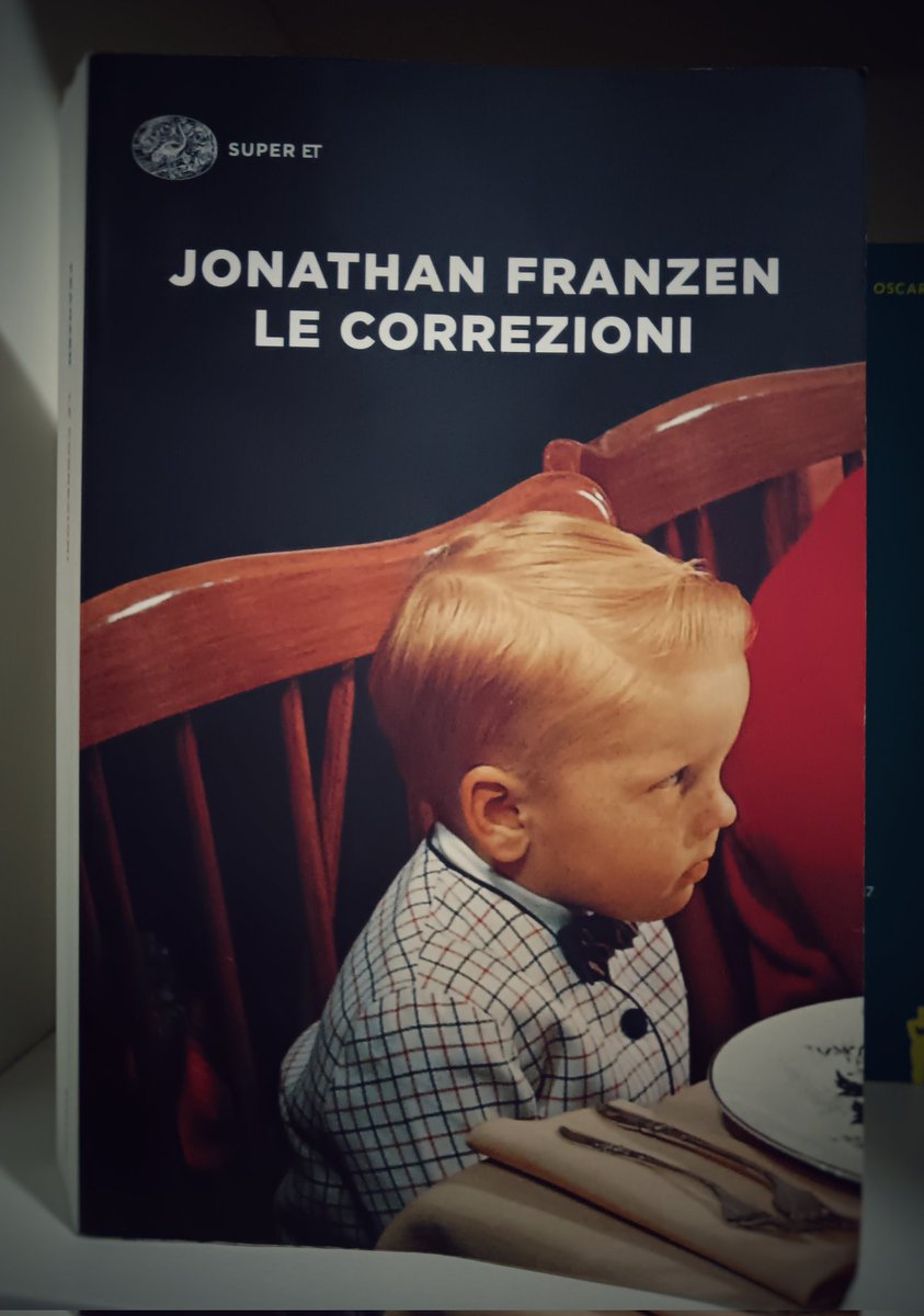 I suoi figli non erano intonati all'ambiente. Non volevano le stesse cose che volevano lei e tutti i suoi amici e tutti i loro figli. I suoi figli volevano cose completamente e vergognosamente diverse.

#Franzen