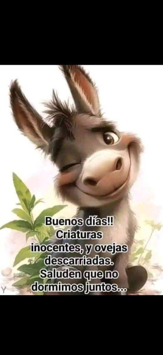 #BuenosDiasATodos