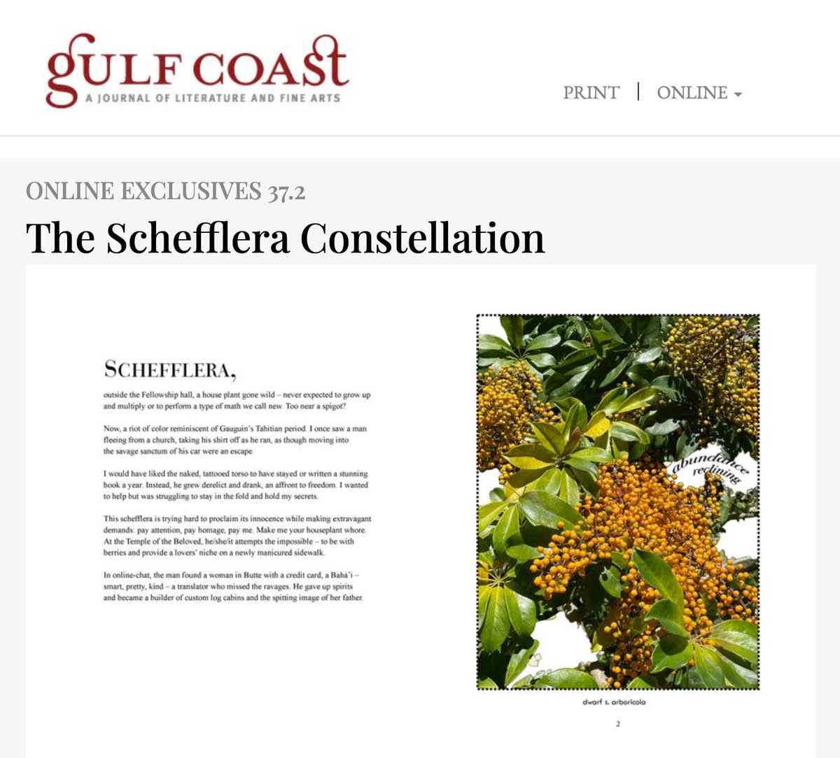 K_A_Polzin's tweet photo. I'm thrilled that my story, "For Me," appears in Gulf Coast Issue 37.2. Many thanks to Leisa Loan, Miles Farrell, and all the folks at @Gulf_Coast https://t.co/0AJbEz1lFt https://t.co/u4xd5x6Pho