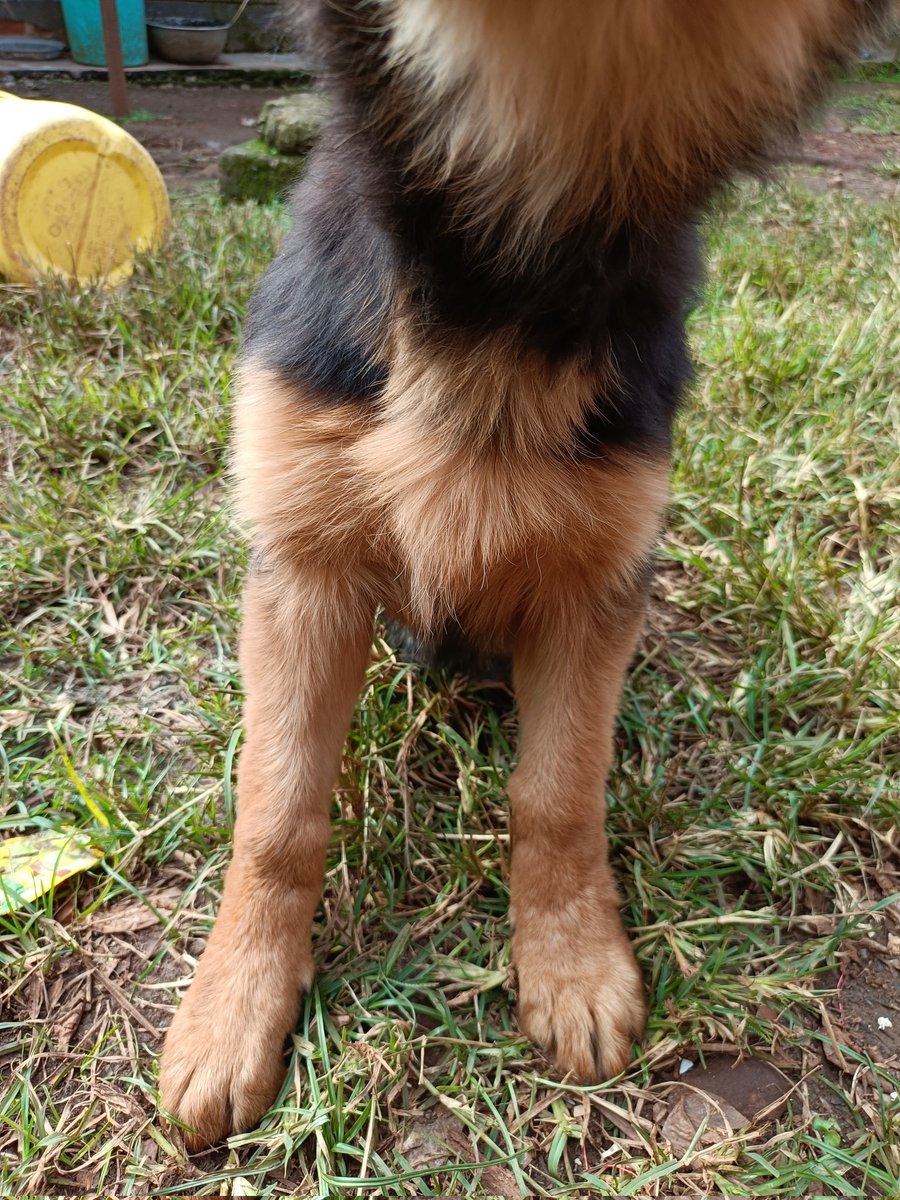 Andrew k Rotich tweet media