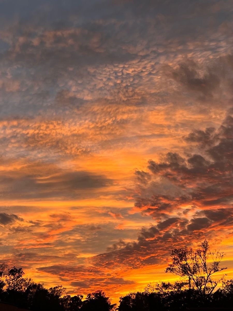 loveofsunset's tweet photo. https://t.co/b0BzHKNiVj