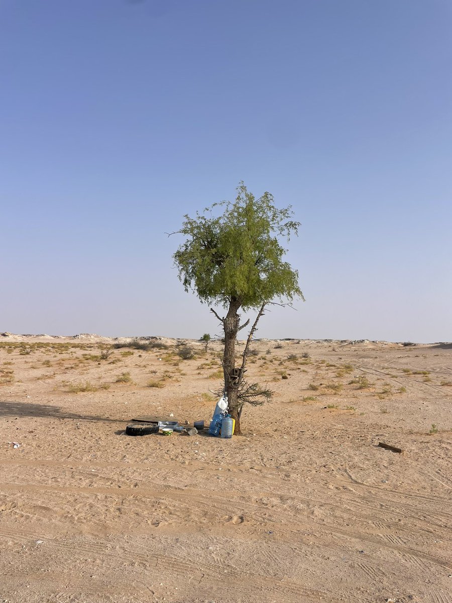 كن لنفسك كل شي ، فالجميع حكايه وتنتهي

#عُمان