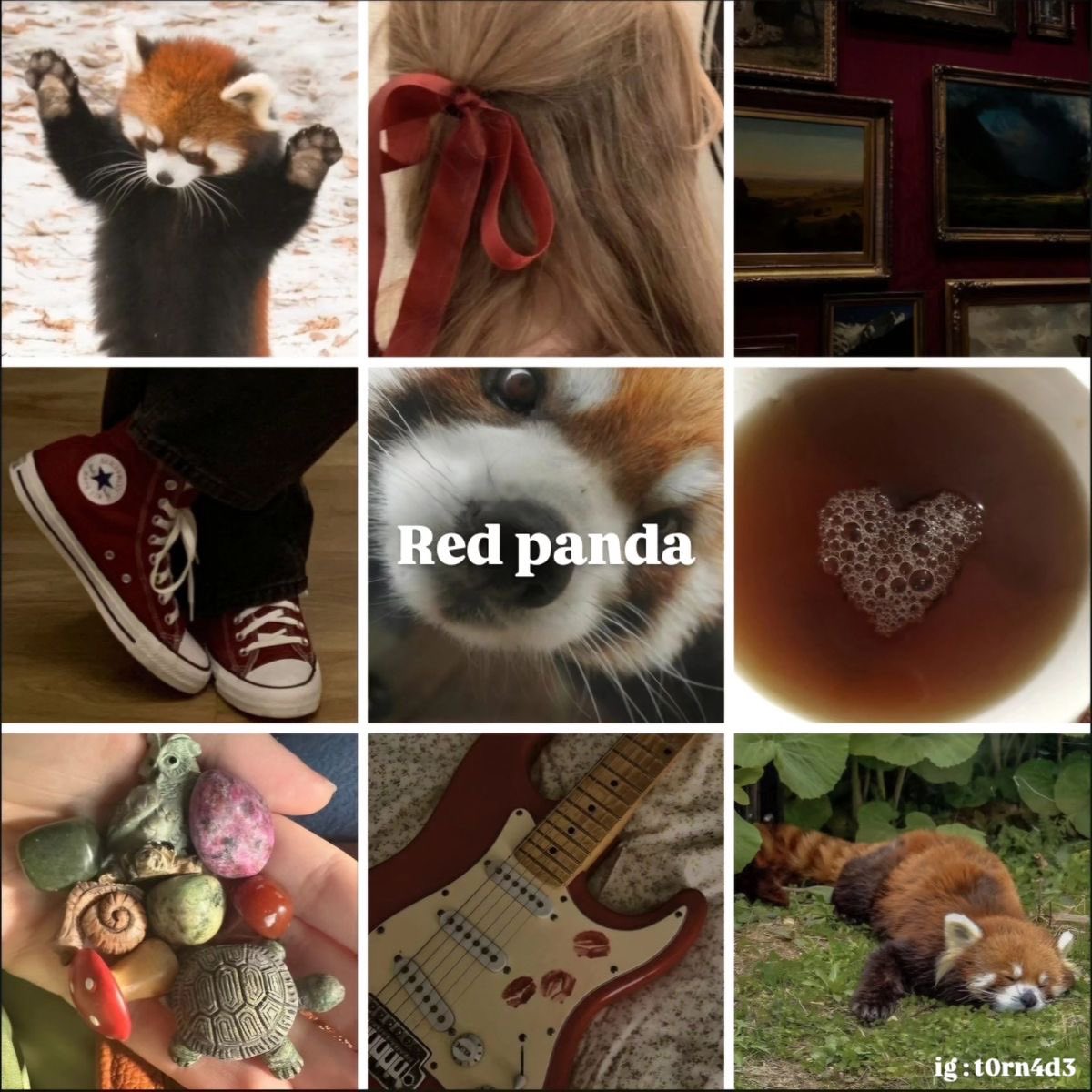 her favourite animal is a red panda