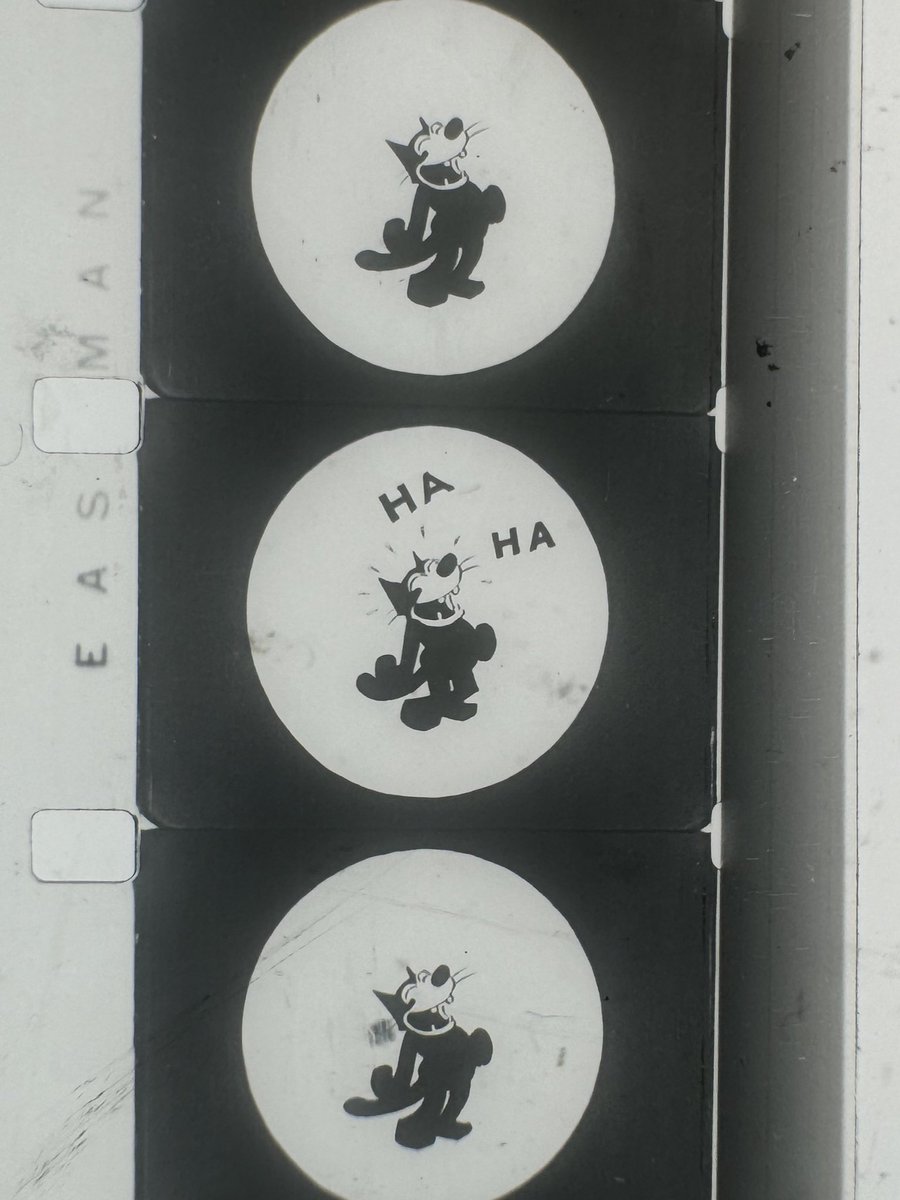 Mistress of the Reel™ (@sleepyserenade) on Twitter photo 