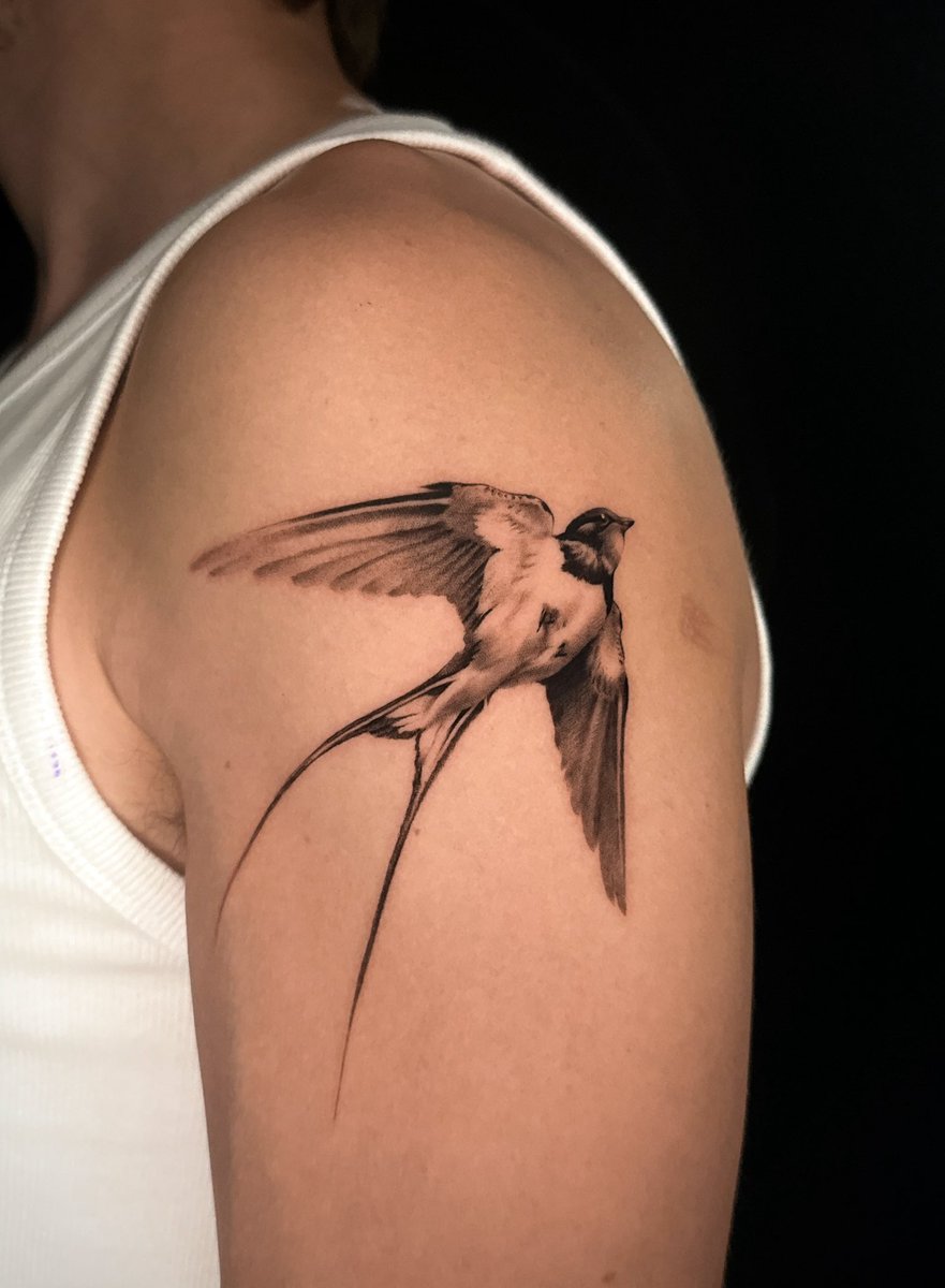 Swallow on Skin