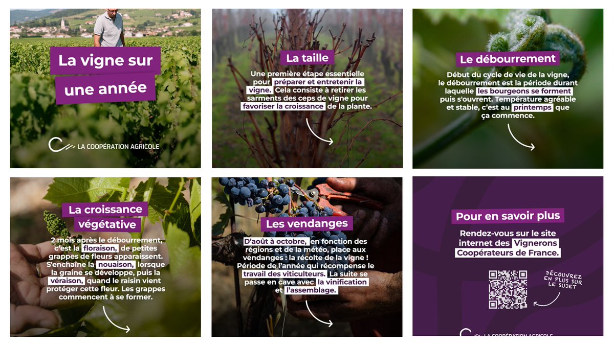 La Coopération Agricole tweet media