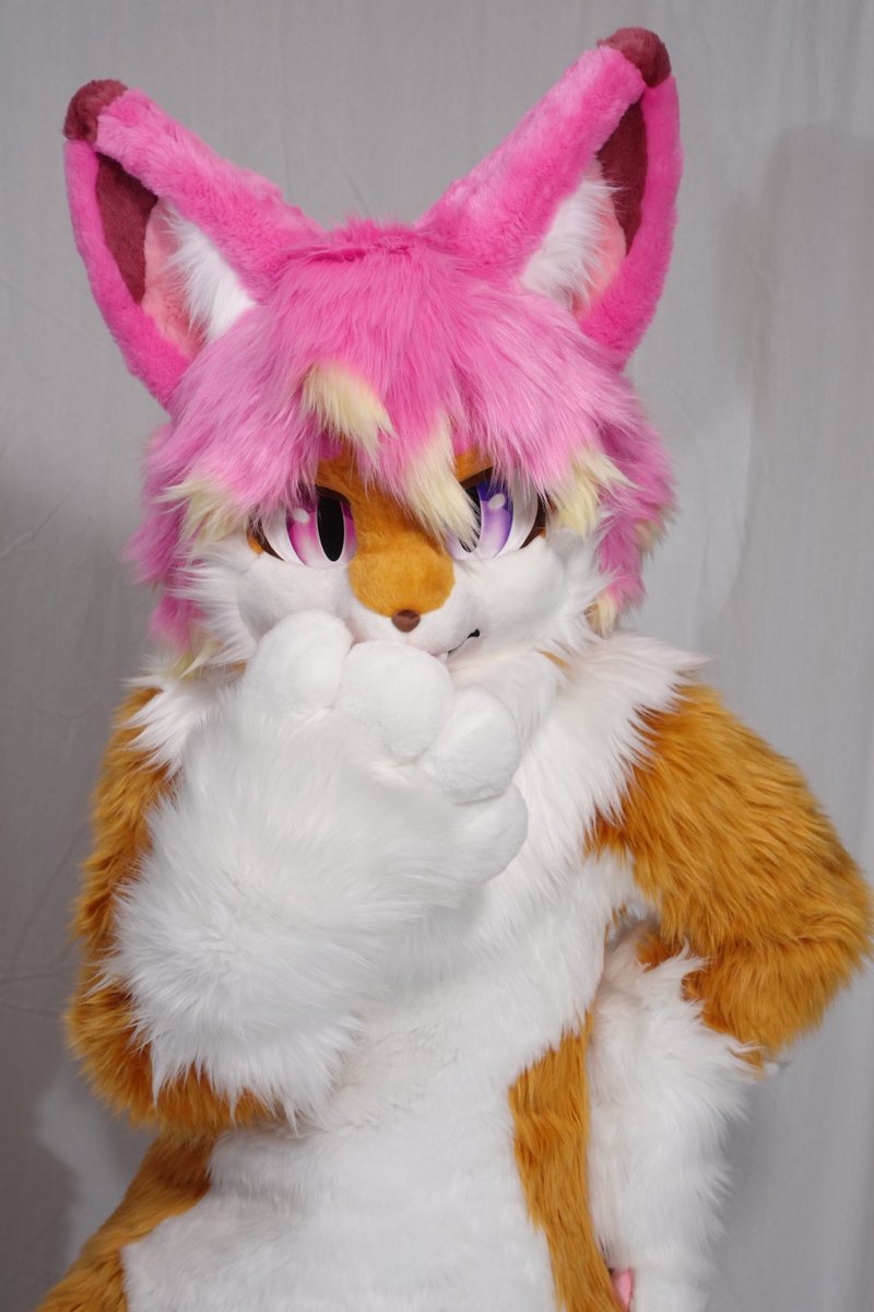 デビューから4ヶ月が経とうとしてるけど、イベントに１回しか参加してない事に気がついたチャプス君🦊

今年中にイベント参加したい…🦊💦
どのイベントがいいのか…分からない…