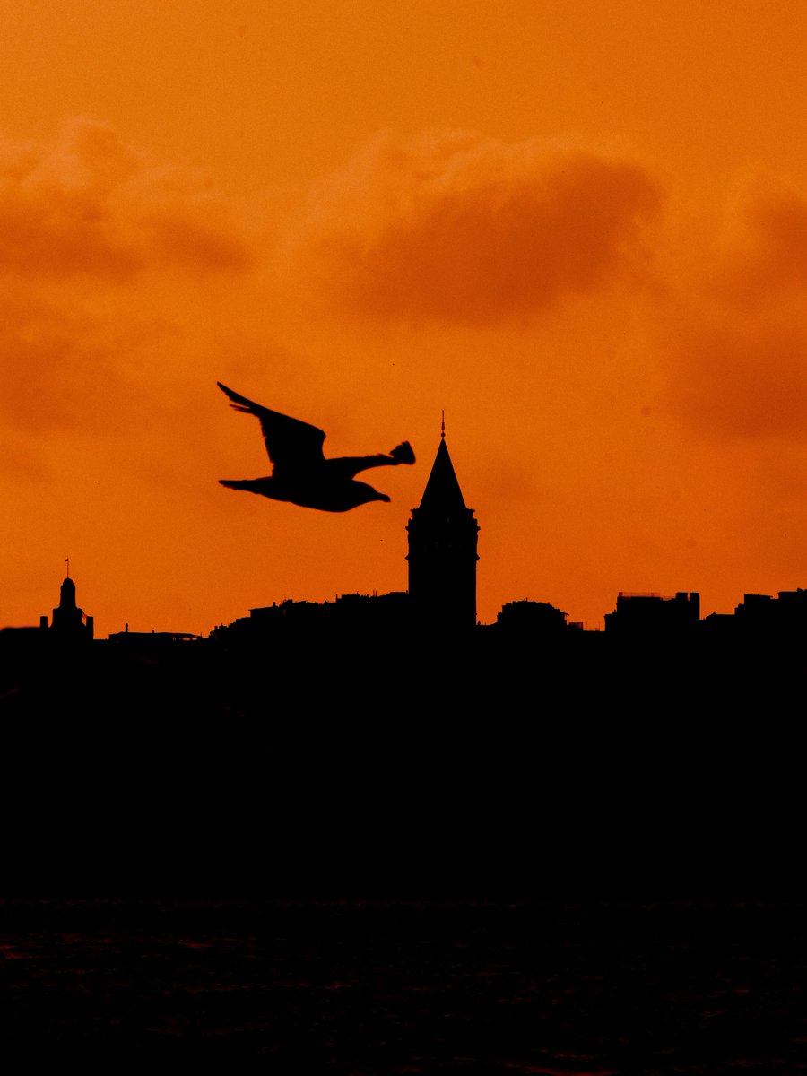 Turgay Keskin (@turgaykskn) on Twitter photo 