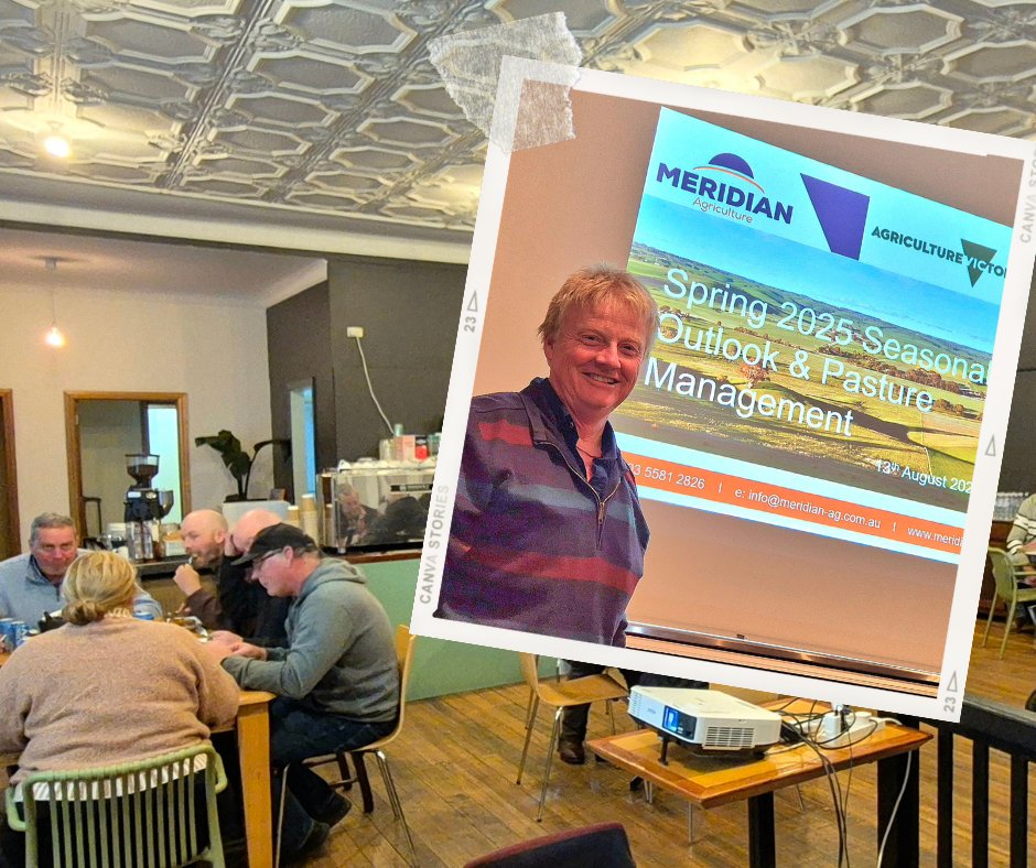 Meridian Agriculture’s Senior Agronomist, Andrew Speirs, led a Spring 2025 Seasonal Outlook &amp; Pasture Management workshop in Casterton.
30 producers attended, hearing from AgVic’s Dale Grey on the spring outlook &amp; gaining practical advice to manage drought.
#VicAg #DroughtSupport