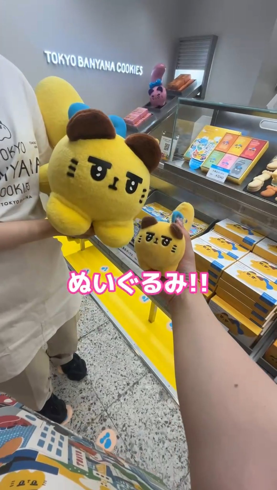 みーにゃ様　のぬいぐるみ Amazon.co.jp: すみっコぐらし とかげ ぽっちゃりほにゃぐるみ