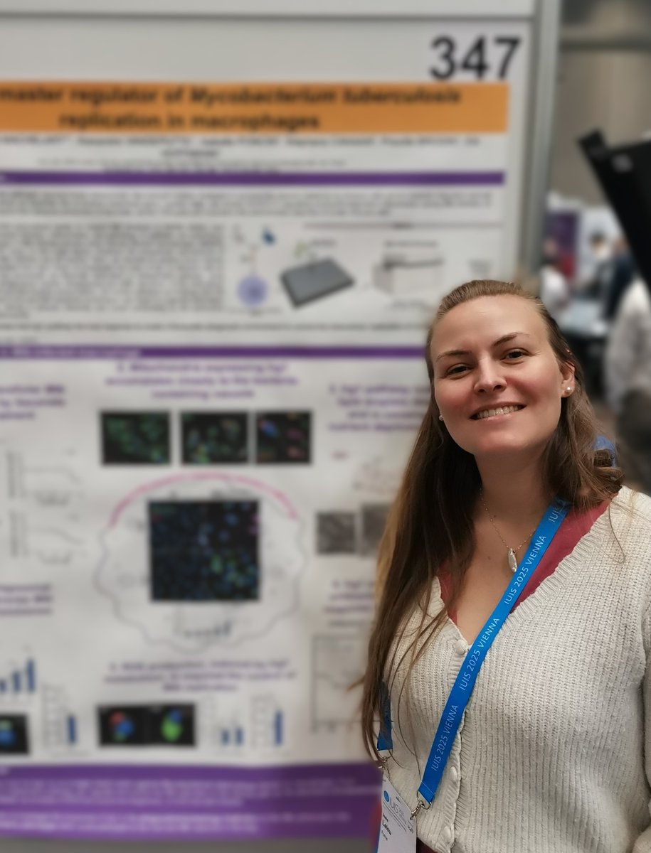 Arnaud Machelart tweet media