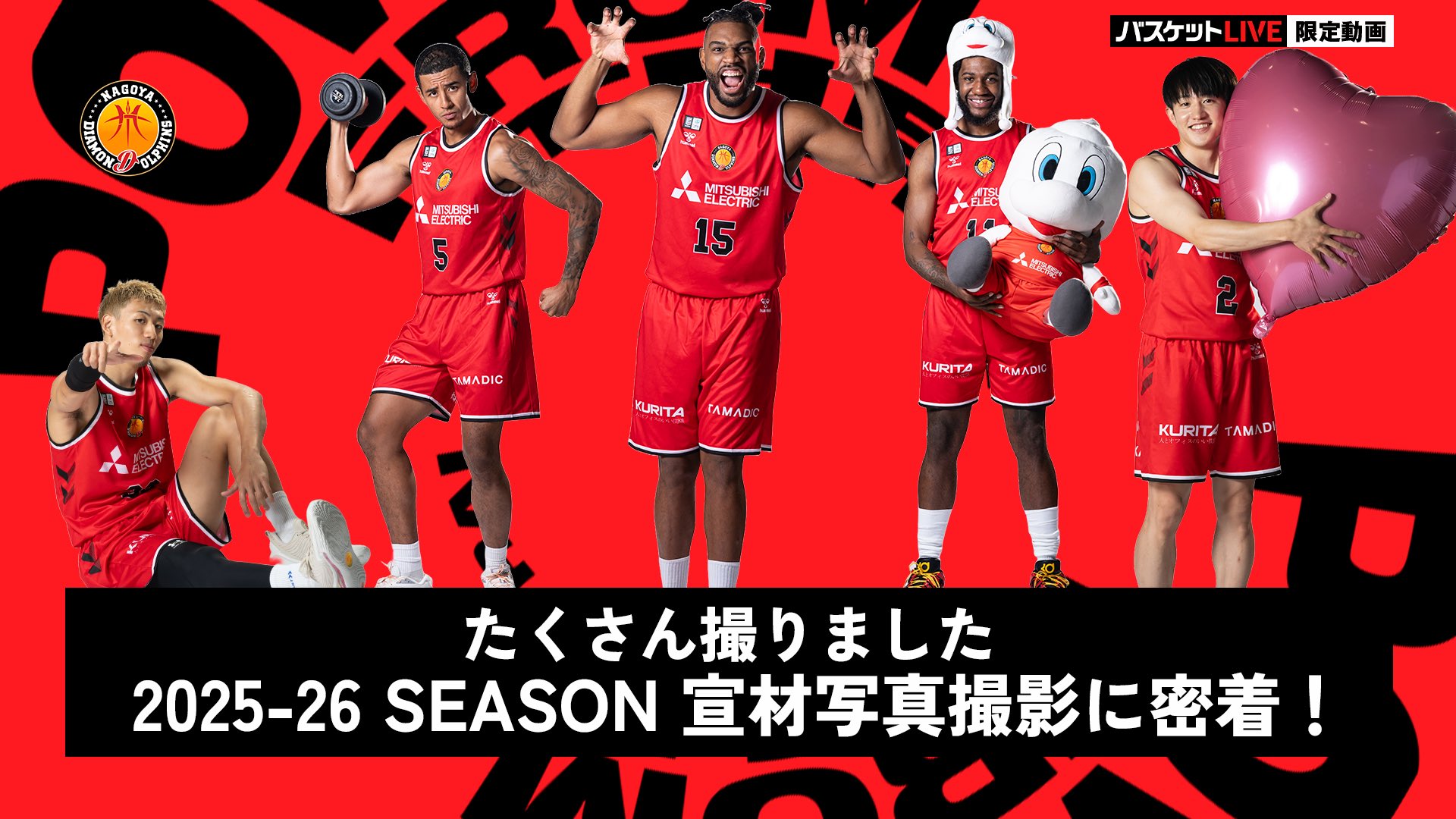 名古屋ダイヤモンドドルフィンズ公式 on X: 