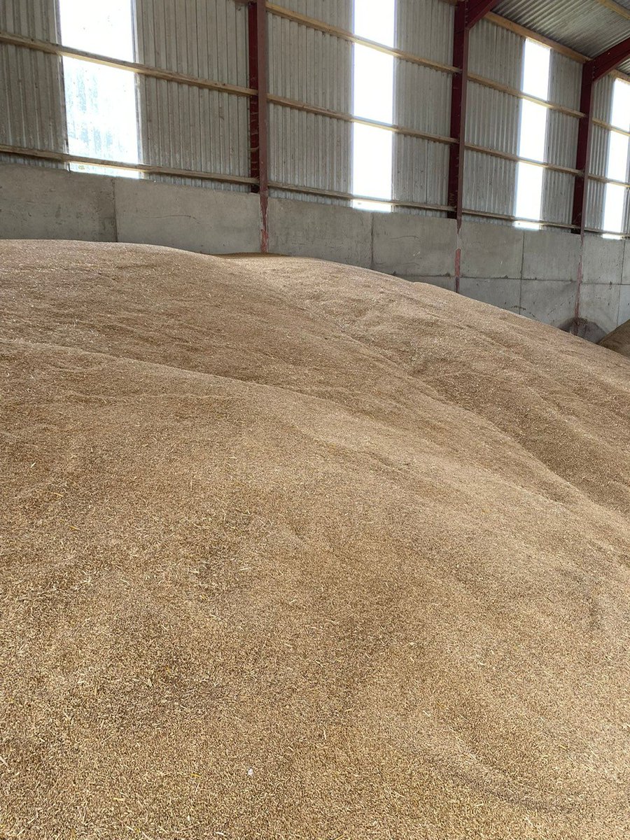 Steven McAllister (@stevenwhites123) on Twitter photo 