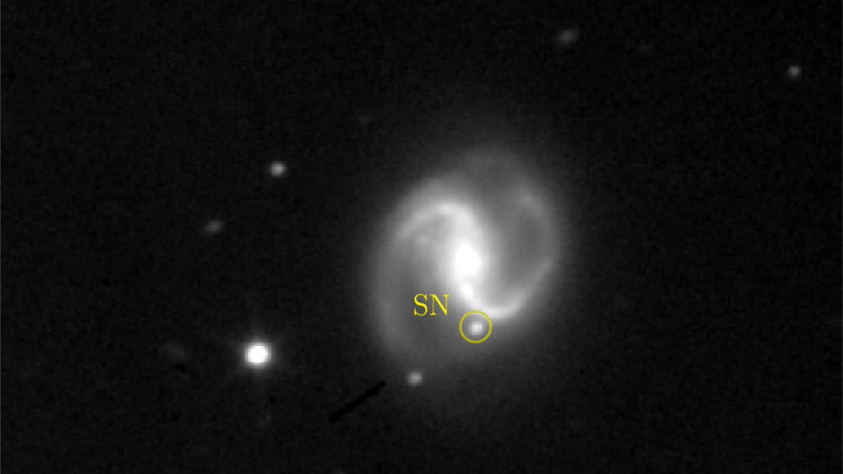 fizikhaber.com/2025/08/supern… 

Süpernovalar, gökyüzünde daha önce görünmezken birdenbire parlayan ve olağanüstü parlaklıklarıyla dikkat çeken yıldız patlamalarıdır.

 Bu patlamalar çok ani ve öngörülemez olduğu için uzun süre incelenmeleri zordu. 

Ancak günümüzde, gökyüzünün büyük