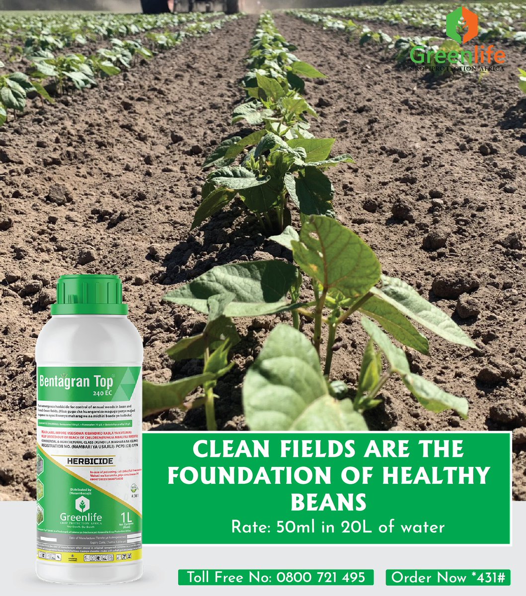 Bean farmers,
Are you tired of fighting weeds every season? The short season is here, and you can’t afford to let weeds steal your harvest. Take charge with Bentagran Top® 240EC, the selective herbicide made for beans.
Just 50ml in 20L of water at the 3-leaf stage clears the