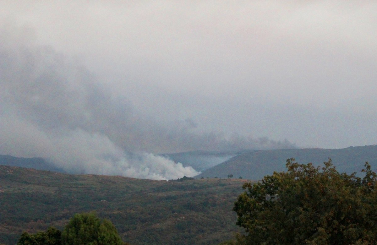 CANTA MÁIS XENTE REXISTRE O ESCRITO, MELLOR, subliñan desde <a href="/PETON_DO_LOBO/">Petón do Lobo</a>.