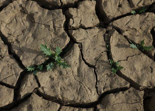 Parikiaki Newspaper (@parikiaki) on Twitter photo Cyprus to seek EU financial aid amid prolonged drought, official says
parikiaki.com/2025/08/cyprus… Cyprus to seek EU financial aid amid prolonged drought, official says
parikiaki.com/2025/08/cyprus…