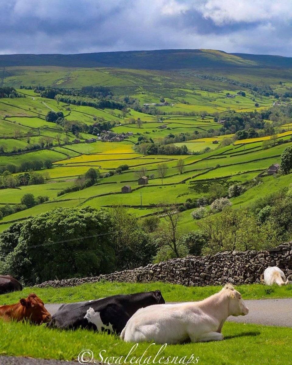 Happiness is waking up to an endless view of the countryside 👀