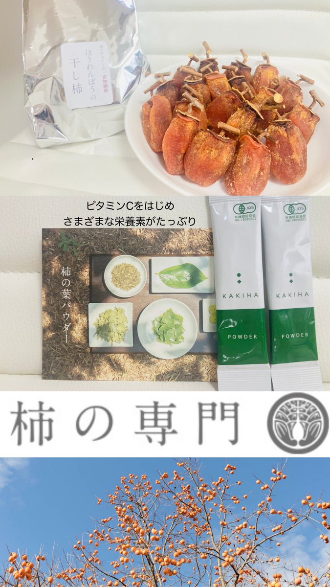 ぷーさん専用 柿 箱込20キロ 刀根柿 家庭用 なおキングの柿 紅 柿