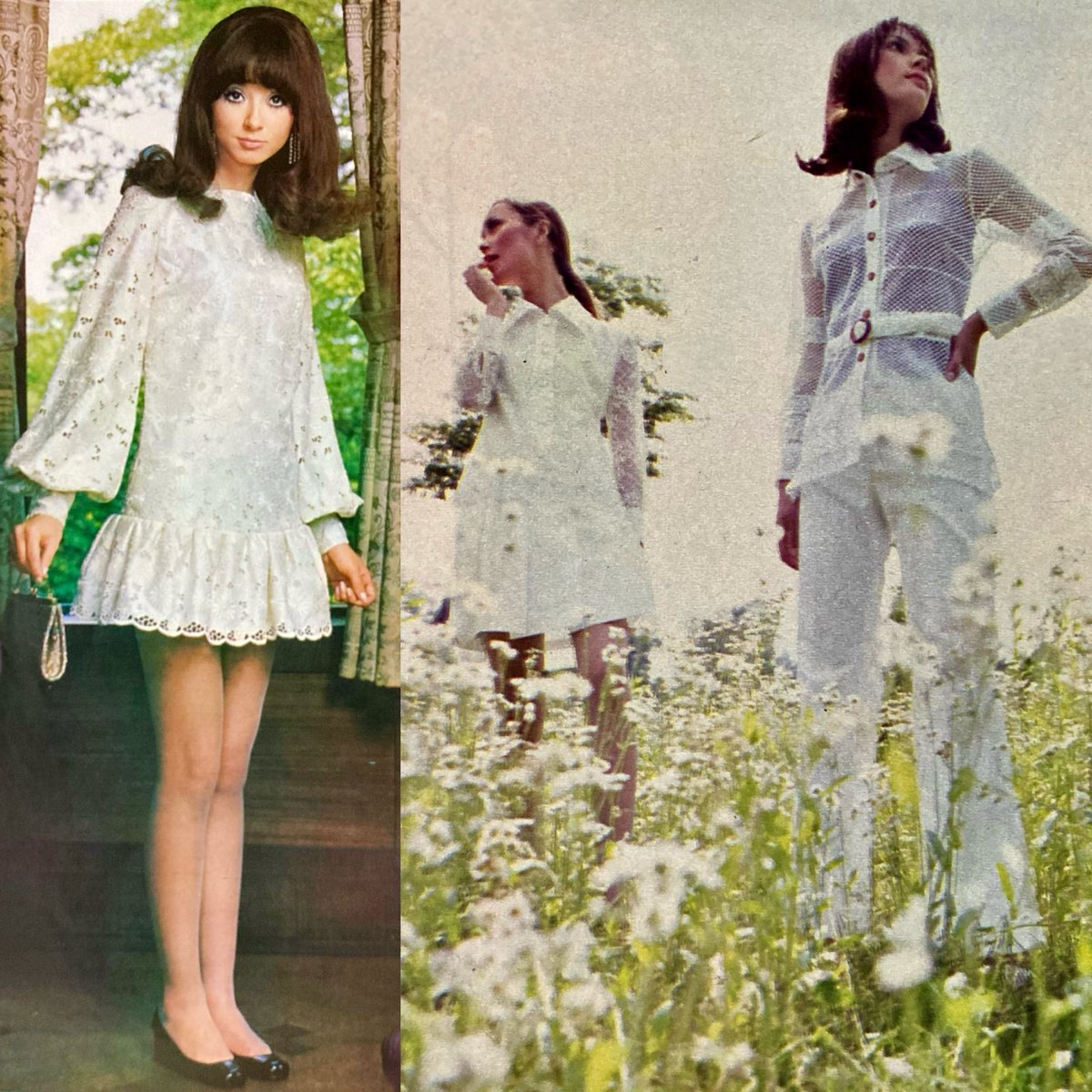 高原の白1969🇯🇵