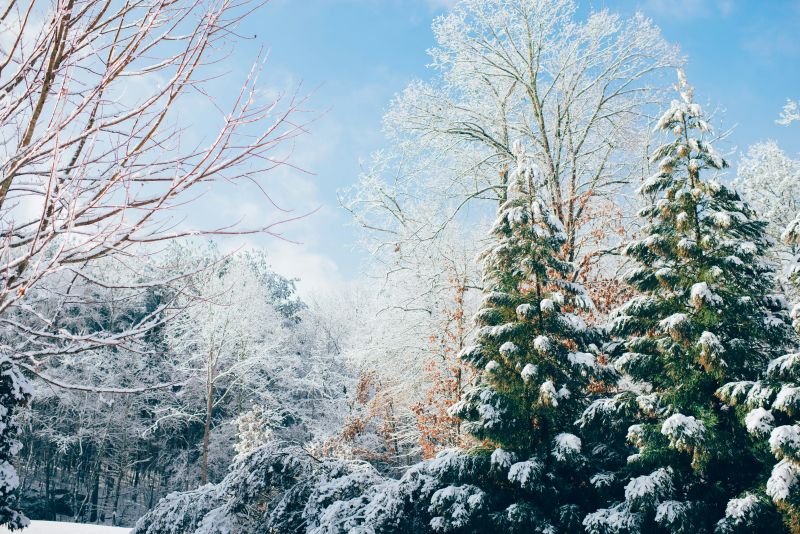 With Glendale's winter maintenance plan, you can have peace of mind knowing your company's premises will be safe. Act now; don't wait for the first snowfall! ❄️🕑 #WinterMaintenance #Glendale