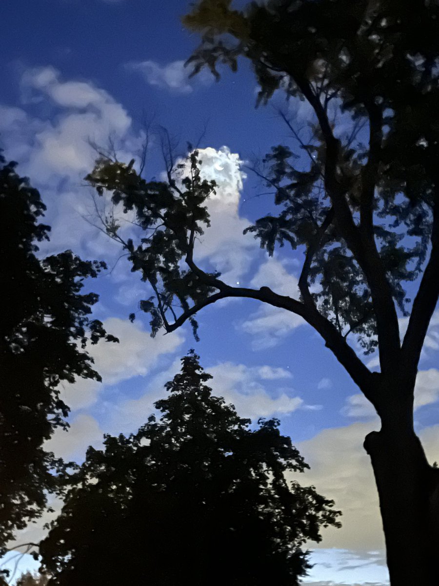 🌝