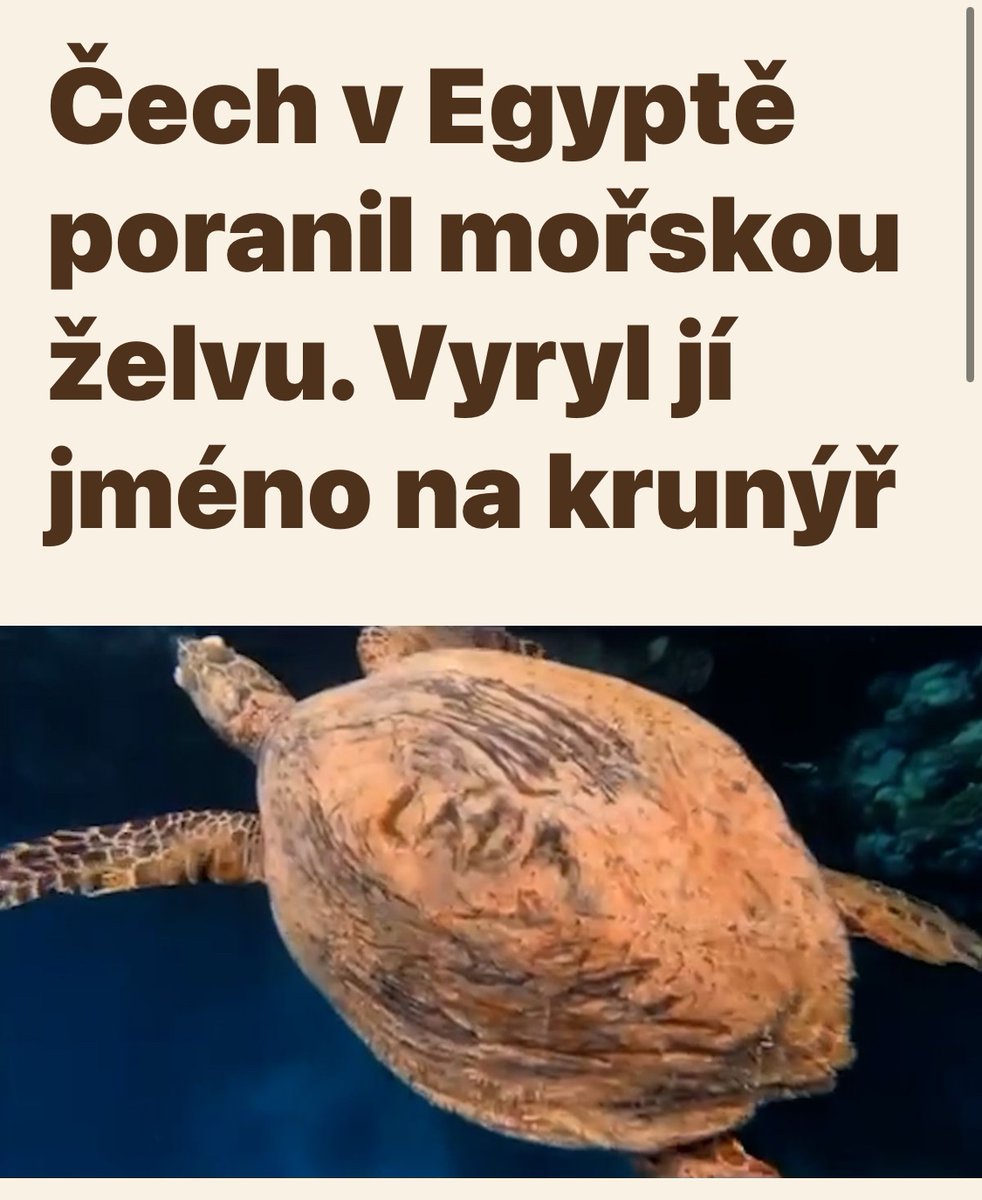 JaraEfko's tweet photo. Jsme dementi, Láďa je největší… https://t.co/JjzPczns3b