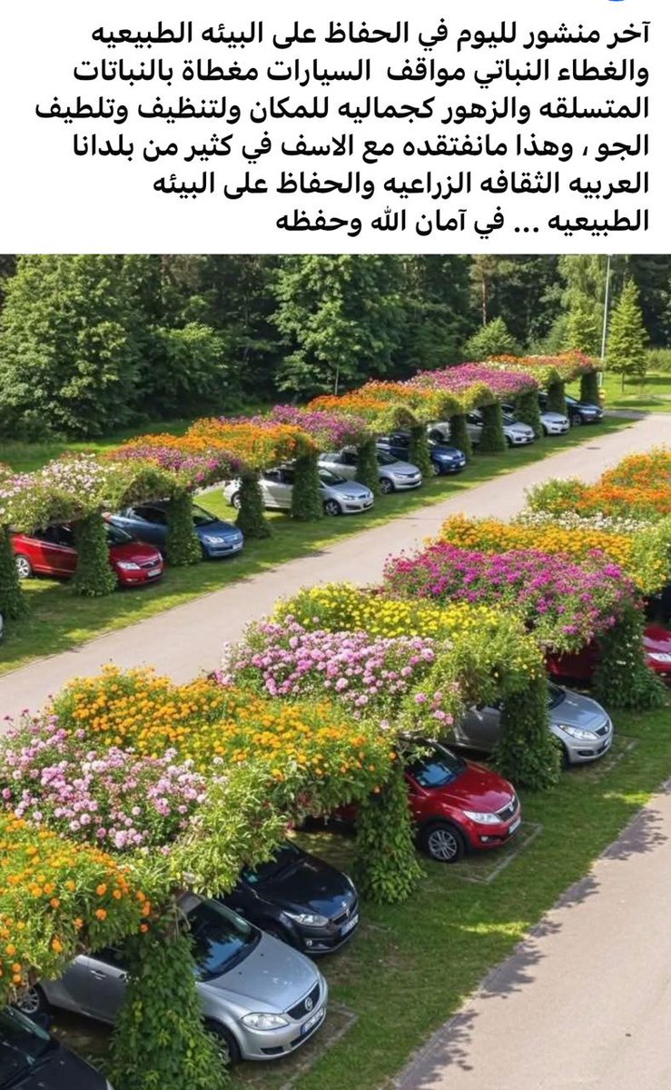ويش رايكم يسر هذا المنظر أم احسن الذي عندنا مربع وبلويت وطربال 🤔✋