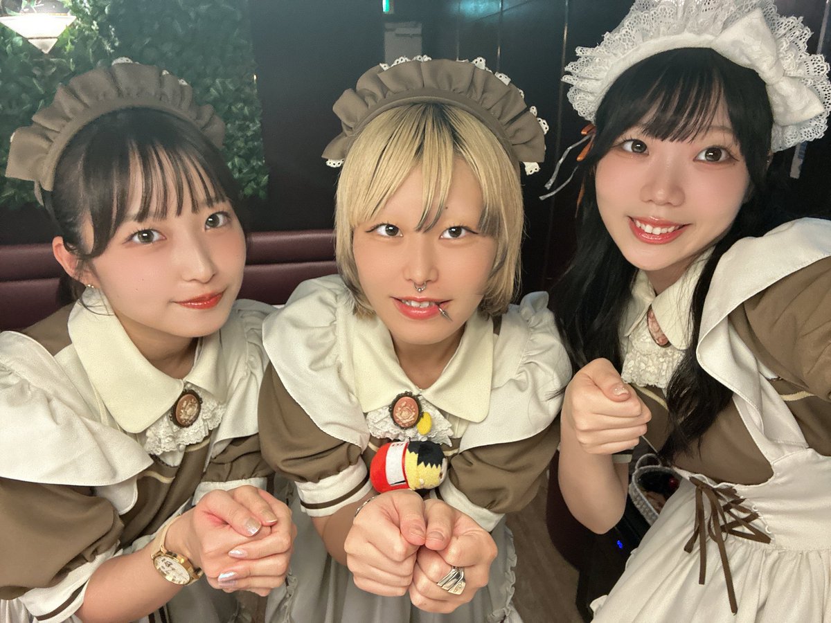メイド喫茶とまり木🕊️ on X: 