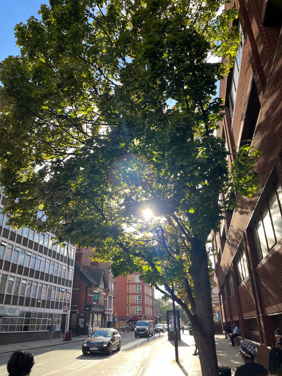 We love seeing pictures of your trees, and what better day to ask to see them than World Photography Day?

Share your pictures in the comments, or tag us in your recent tree snaps 📸