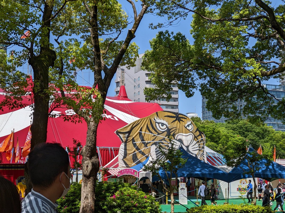 yo_chan0822's tweet photo. 今日は木下大サーカスを見に白川公園へ。これは2022年4月の写真。また見たい！並ぶんなら2時間前はマスト、てことで！ https://t.co/eiFGPHHDVX