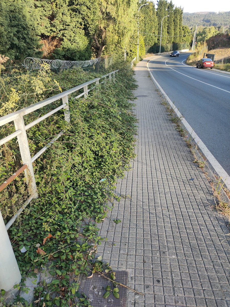 Jose Manuel Maques tweet media