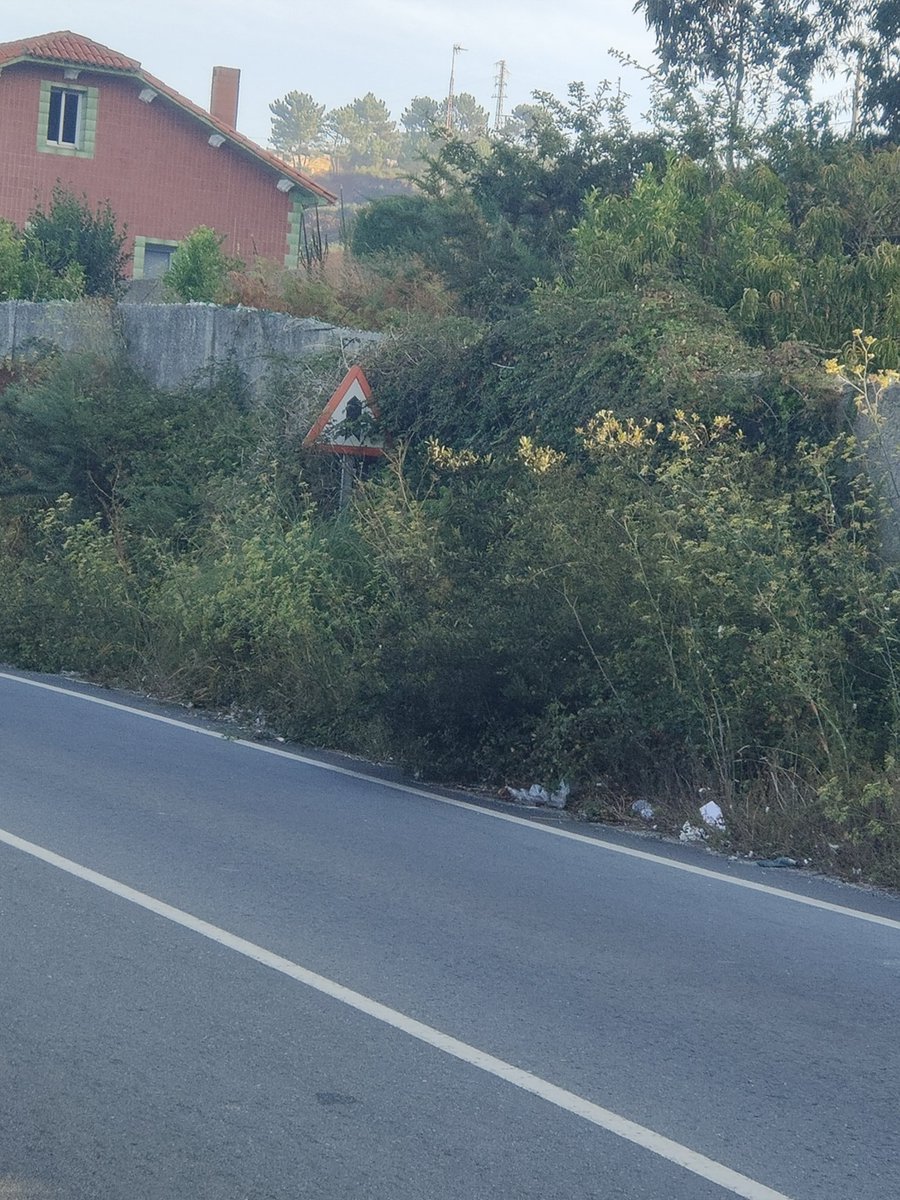 Jose Manuel Maques tweet media