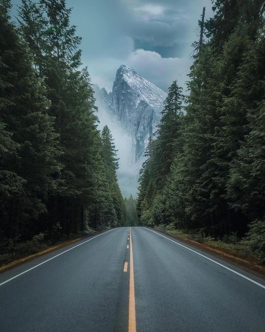 PNW 🌲 📷 IG/chrishenry