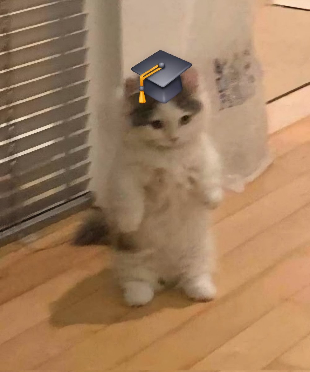 ICH HAB MEINE BACHELORARBEIT BESTANDEN 😭🙏