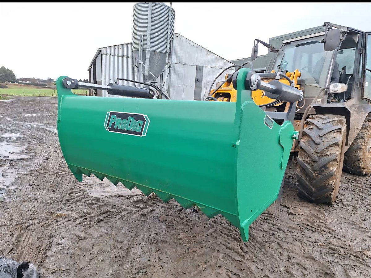 Tom Phelan tweet media