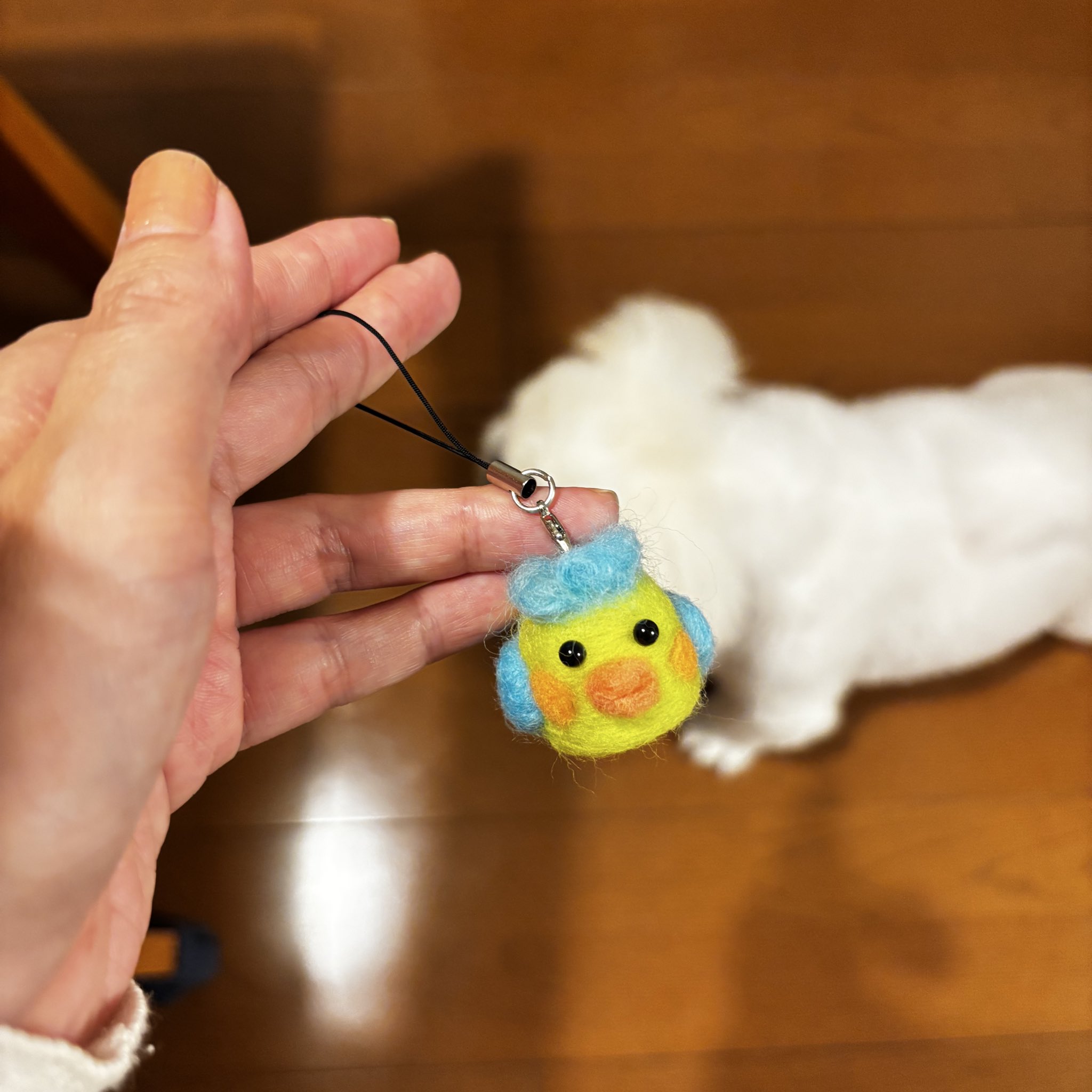 ぴよりんこ🐣 on X: 