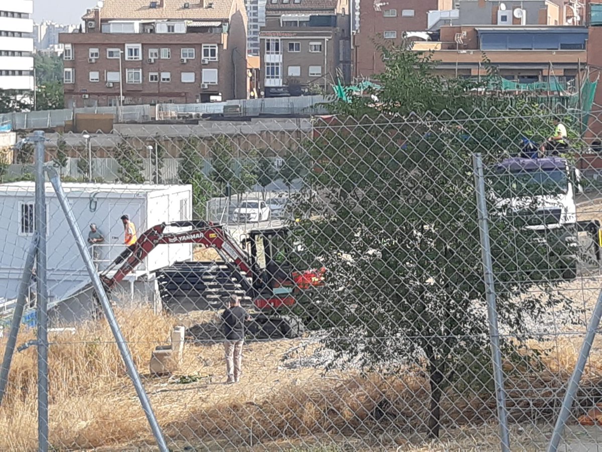 .Los arboricidas  de Madrid no descansan ni en agosto.
Adiós querida morena de Alberdi 💚