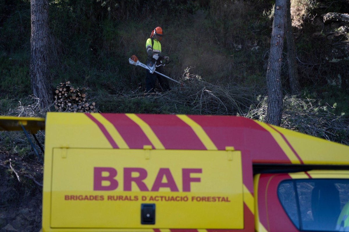 🔴🌲 La millor manera de lluitar contra els incendis és previndre’ls.

Fa un any vam impulsar des de la Diputació de Castelló les Brigades Rurals d’Actuació Forestal (BRAF), amb presència en 4 punts de la província. Hui la seua tasca ja es nota en molts municipis i en les seues
