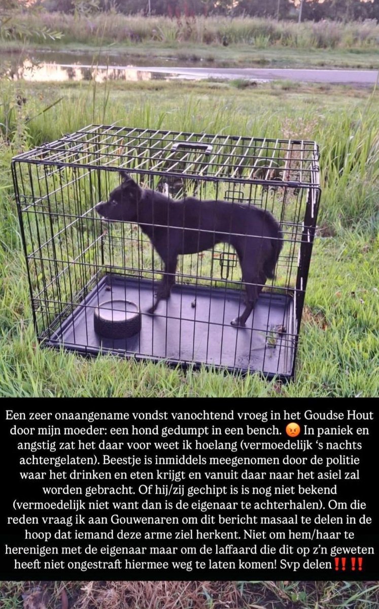 Een zeer onaangename vondst vanmorgen vroeg in het Goudse Hout. Een hond gedumpt in een bench, in paniek en angstig. En is door de politie meegenomen en naar het dierenopvangcentrum in #Gouda gebracht 😡 facebook.com/photo?fbid=247…