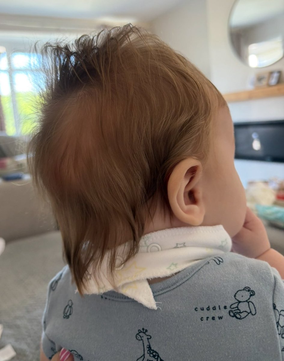 Rod Stewart - is that you? 😂