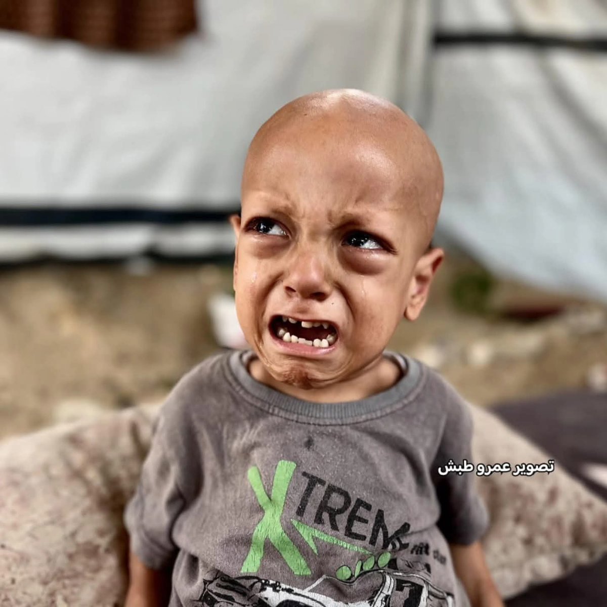 Free Gaza 🇵🇸 tweet media