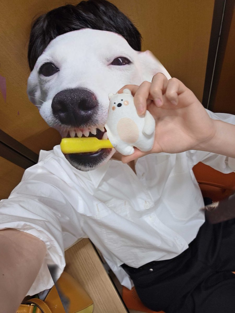 두멍이손두멍이몸매첫공개(언급ㄴㄴㅠ)
순디깡해보았습니다 정말귀여워요🫶