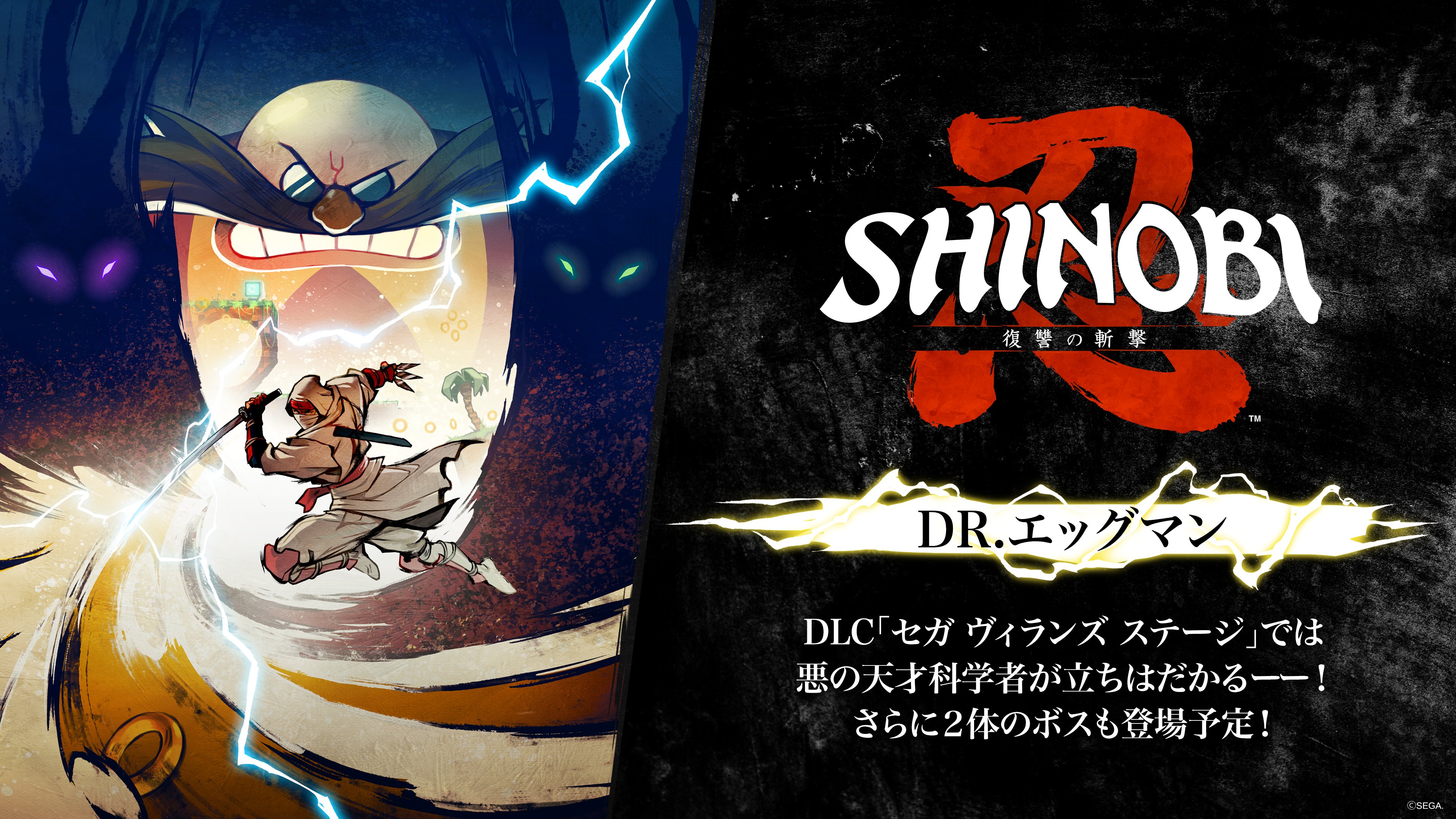 初回限定【新品未開封】SHINOBI プレミアム・エディション　　d589 ソニック・ザ・ヘッジホッグ【公式】 on X: 