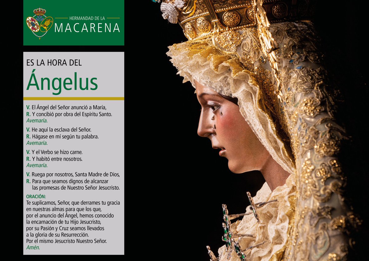 ÁNGELUS | A las 12:00 h te invitamos a rezar el Ángelus y a poner ante la Virgen tus intenciones.

Hoy pedimos por la mejora de las condiciones climatológicas para la pronta extinción de los incendios que asolan nuestro país.