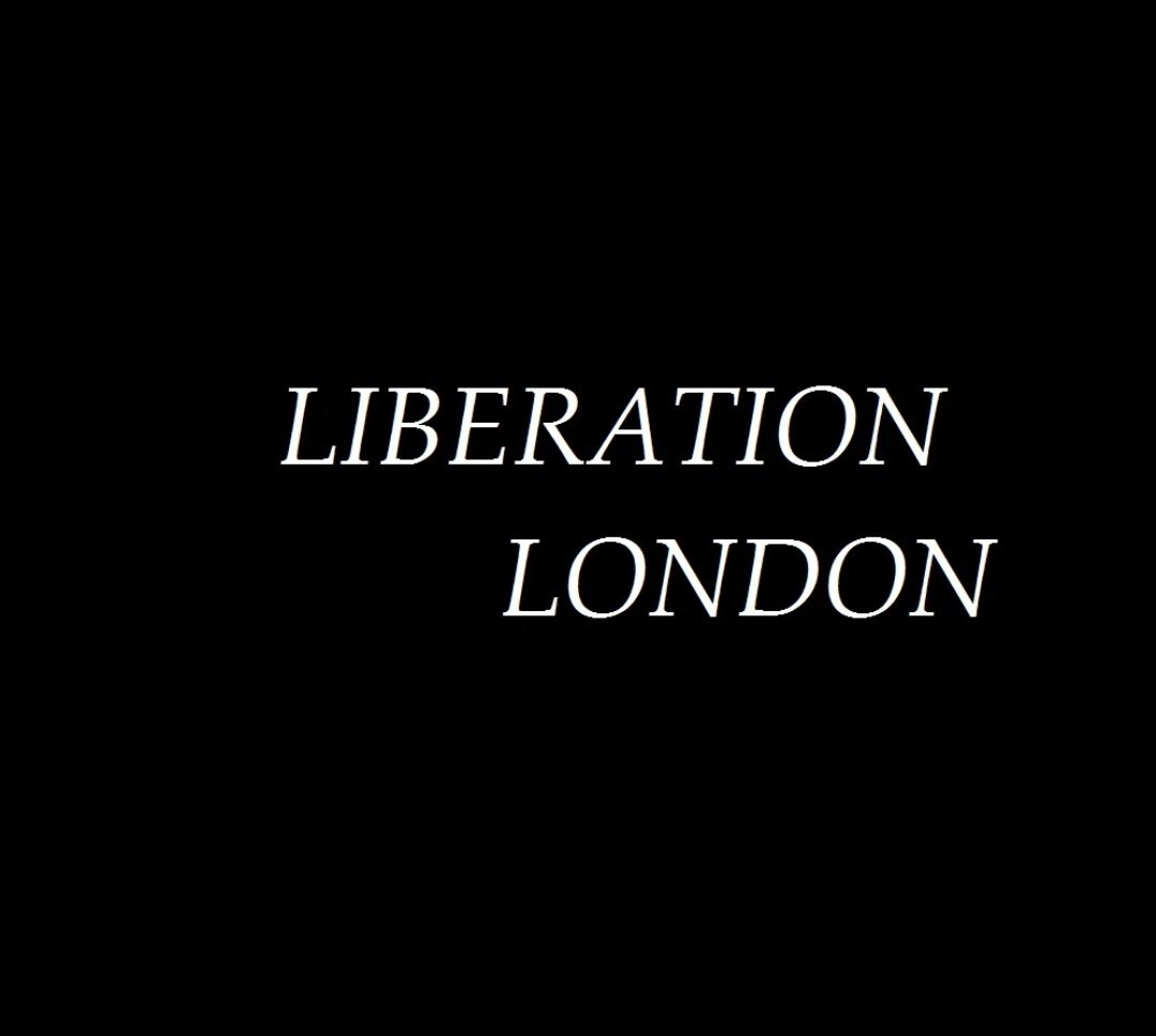 In other news (sic), Facebook / Farcebook found the image below offending and said they would not recommend the page to others.  Apparently words like Liberation are too heavy to handle these days.   Perhaps my record label should be called Woke United. 🤑