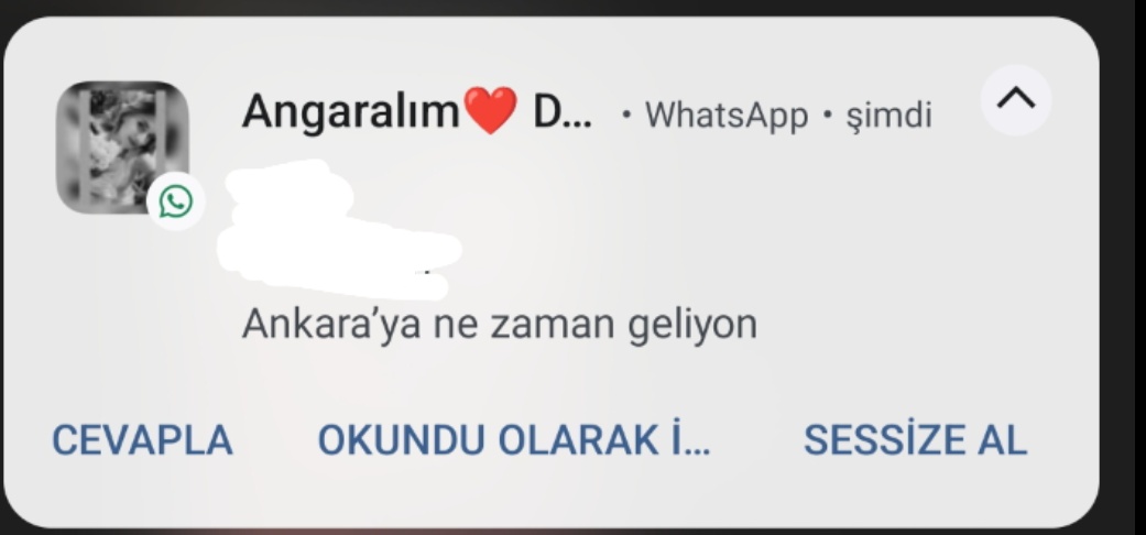 Fehiye1's tweet photo. Herkesin vardır "Ankara'ya ne zaman geliyorsun?"diyeni @eekrpak 💖 https://t.co/wj4nfBIIUa